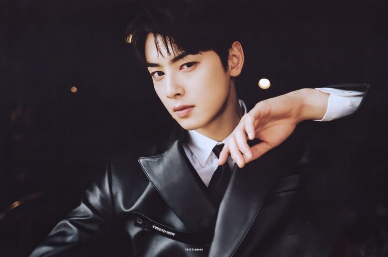 cha eun woo